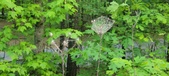 Enlarge photo 104
