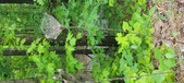 Enlarge photo 103