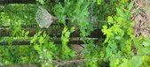 Enlarge photo 102