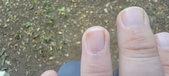 Enlarge photo 151