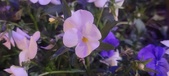 Enlarge photo 90
