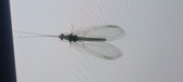 Enlarge photo 135