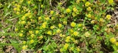 Enlarge photo 84