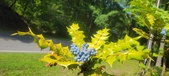 Enlarge photo 80