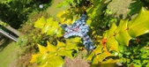 Enlarge photo 81