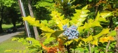Enlarge photo 82