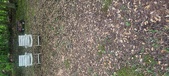 Enlarge photo 78