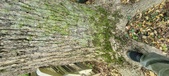 Enlarge photo 74