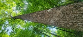 Enlarge photo 72