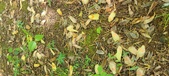 Enlarge photo 70