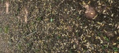 Enlarge photo 69