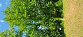 Enlarge photo 67