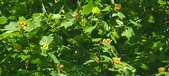 Enlarge photo 65