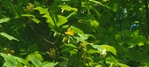 Enlarge photo 59