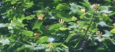Enlarge photo 56