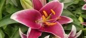 Enlarge photo 53