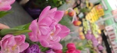 Enlarge photo 46
