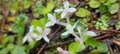 Enlarge photo 39