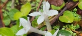 Enlarge photo 41