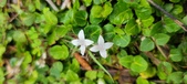 Enlarge photo 35