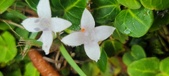 Enlarge photo 34