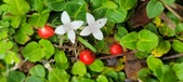 Enlarge photo 33