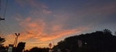 Enlarge photo 289
