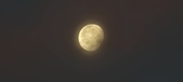 Enlarge photo 284