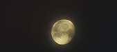 Enlarge photo 280