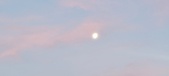 Enlarge photo 279