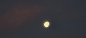 Enlarge photo 271