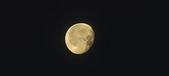 Enlarge photo 272