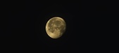 Enlarge photo 273