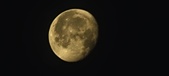 Enlarge photo 274