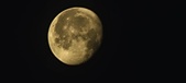 Enlarge photo 270