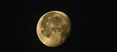 Enlarge photo 269