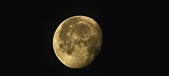 Enlarge photo 268
