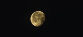 Enlarge photo 264