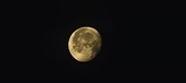 Enlarge photo 265