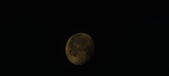 Enlarge photo 266