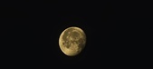 Enlarge photo 267