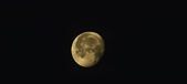 Enlarge photo 263
