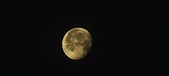 Enlarge photo 262
