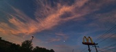 Enlarge photo 254