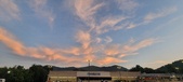 Enlarge photo 242
