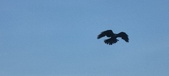 Enlarge photo 228