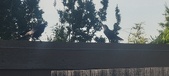 Enlarge photo 226