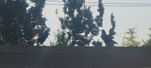 Enlarge photo 223