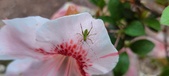 Enlarge photo 26