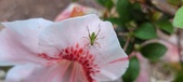 Enlarge photo 27
